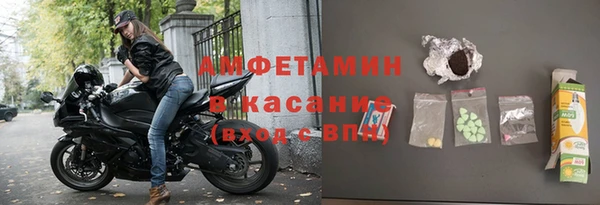 прущие грибы Володарск