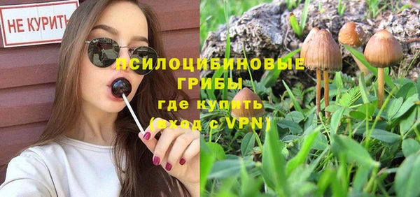 прущие грибы Володарск