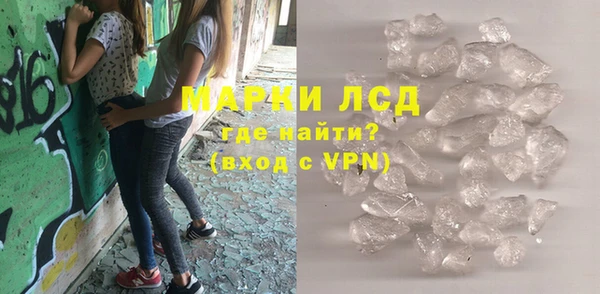 прущие грибы Володарск