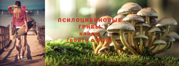 стафф Волоколамск