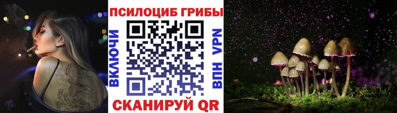 Галлюциногенные грибы MAGIC MUSHROOMS Ильский